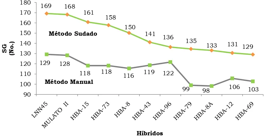 Figura 4. Comportamiento de once híbridos de Brachiaria spp. evaluados en la variable Semillas por gramo, con dos métodos de cosecha
