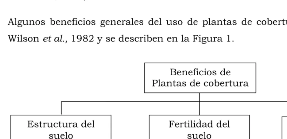 Figura 1. Efecto de las plantas de cobertura. 