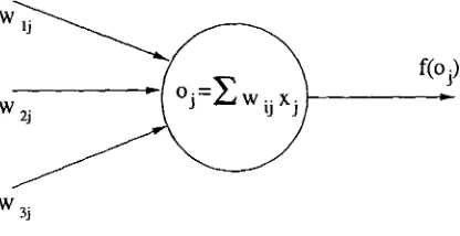 Figura  2.2: Estructura de una neurona. 