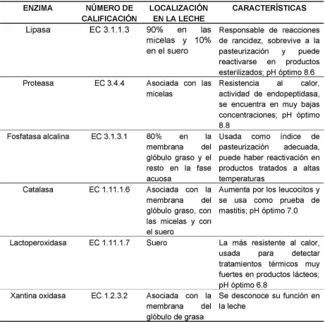 Tabla 3.3 Enzimas más importantes de la leche de vaca