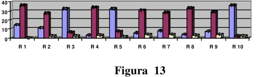 Figura  13 