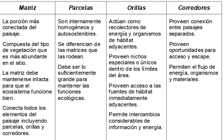 Tabla 5. Estructuras y funciones del paisaje (Morláns, 2005). 