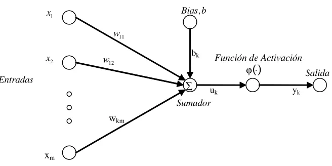 Figura 1.2: Elementos Básicos de una Neurona Arti�cial