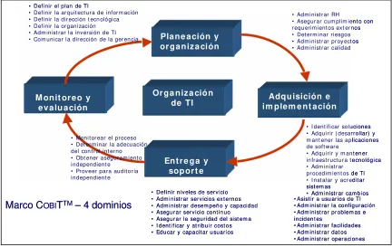 Fig. 6. Modelo COBIT. 
