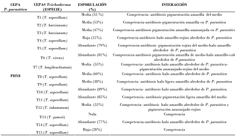 Cuadro 6. Esporulación e interacción de distintos aislados de Trichoderma spp. con P. parasitica 