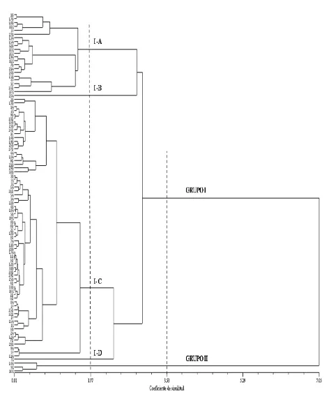 Figura 4. Dendograma de 94 poblaciones nativas de frijol común (Phaseolus vulgaris L.) con 