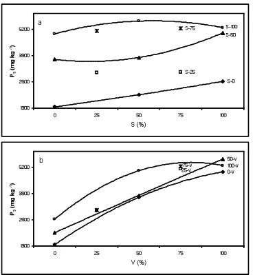 Figura 13. Respuesta de la concentración de fósforo (P 3) a la aplicación de solución de Steiner (S) y extracto de vermicomposta (V)