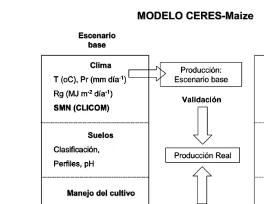 Figura 1. 