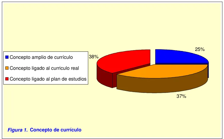Figura 1.  Concepto de currículo