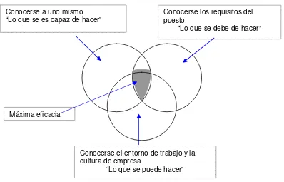 Figura: 3 Modelo de gestión por competencias. 