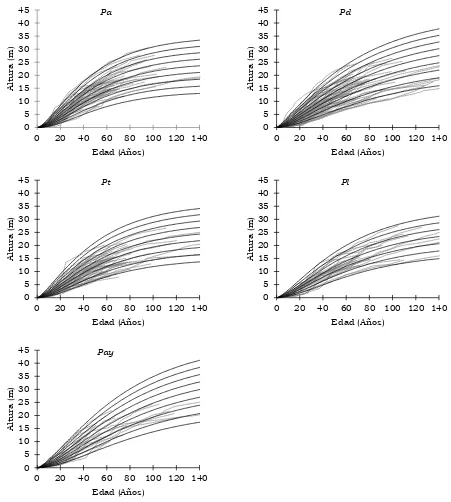 Figura 4.1. Familias de curvas de crecimiento en altura para categorías de índice de sitio de 8, 10, 12, 14, 16, 18, 20, 22 y 24 m para Pinus arizonica, Pinus durangensis, Pinus teocote y Pinus ayacahuite y categorías de índice de sitio de 8, 10, 12, 14, 1