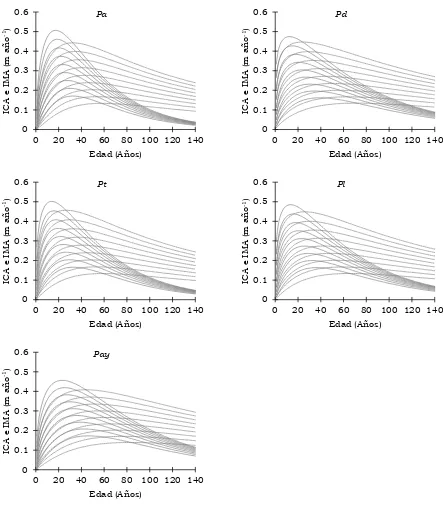 Figura 4.2. Familias de curvas de incremento corriente anual en altura (ICA) línea continua e incremento medio anual (IMA) línea discontinua, considerando categorías de índice de sitio de 8, 10, 12, 14, 16, 18, 20, 22 y 24 m