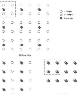 Fig. II-2: YC bCr sampling patterns, obtained from Richardson (2003). 
