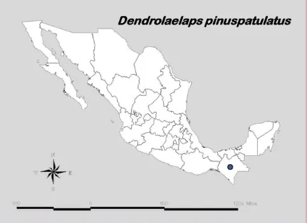 Figura 2.43. Distribución de D. pilospatulatus en la República Mexicana. 