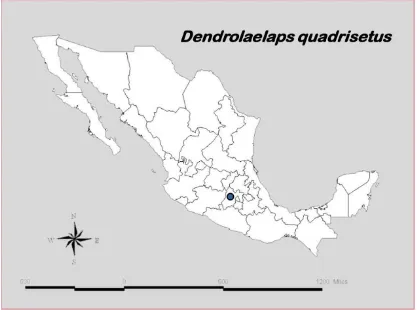 Figura 2.45. Distribución de D. quadrisetus en la República Mexicana. 