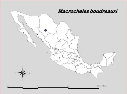 Figura 2.47. Distribución de M. boudreauxi  en la República Mexicana. 