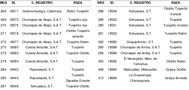 Cuadro 1B… continuación. Registros de maíz nativo de Veracruz evaluados para resistencia a glifosato en campo durante el Ciclo P-V, 2013