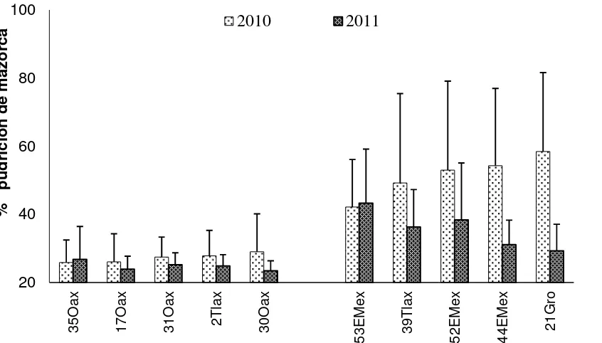 Figura II.1. Promedios de pudrición de mazorca de poblaciones nativas de maíz representativas de resistencia (A) y susceptibilidad (B) en Montecillo y Ayapango, Edo