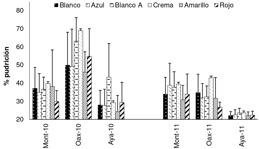 Figura II.6. Rendimiento promedio de poblaciones de maíz (kg), agrupadas por color de grano, evaluadas en Montecillo y Ayapango, Edo