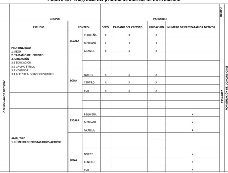 Cuadro 5.1  Diagrama del proceso de análisis de información. 