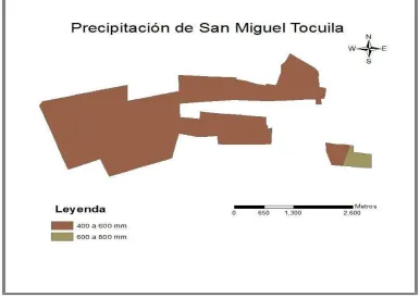 Figura 11. Mapa de precipitación de Tocuila. 