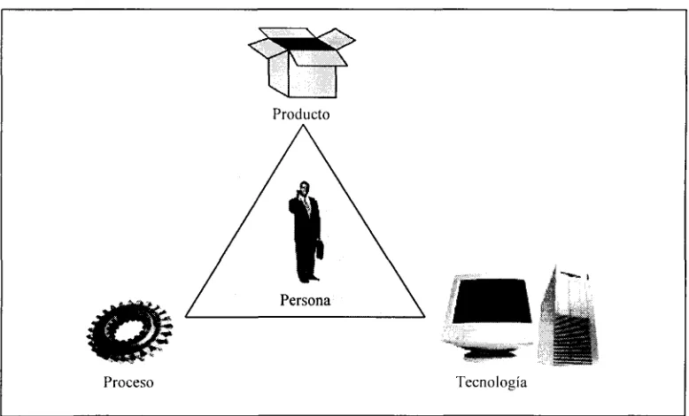 Fig 1.2 Dimensiones de la infraestructura de un proyecto de informática.