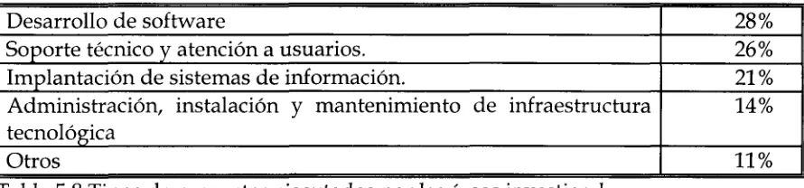 Tabla 5.8 Tipos de proyectos ejecutados por las áreas investigadas.