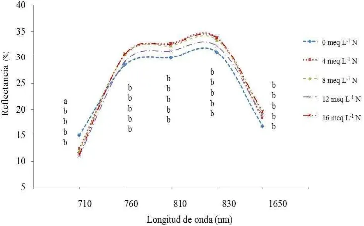 Figura 13. Reflectancia de hojas del tercio superior de plantas de chile de agua, obtenida con radiómetro73 ddt, en las longitudes de onda de 710 a 1650 nm, fertilizadas con diferentes dosis de nitrógeno (meq L-1) en la solución nutritiva Steiner