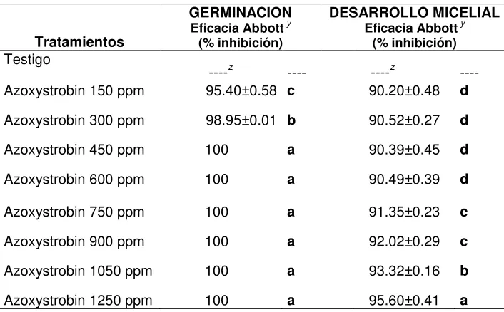 Cuadro 1. Efecto del azoxystrobin sobre la germinación de conidios y el desarrollo 