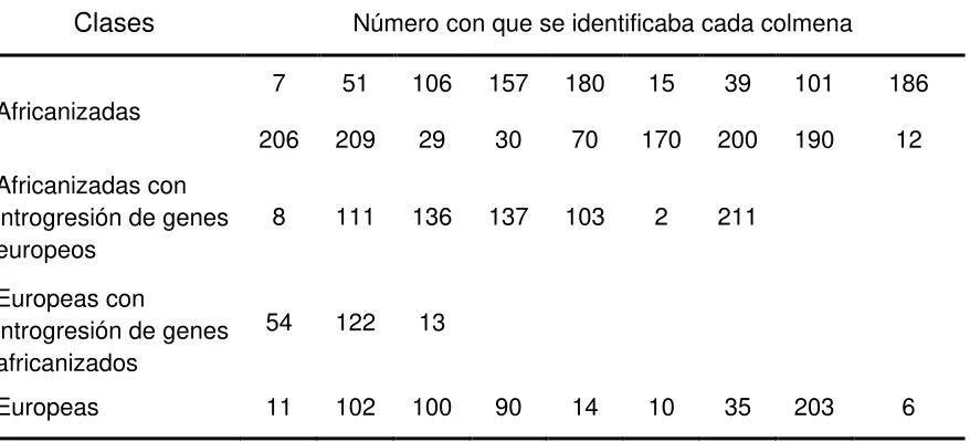 Cuadro 4. Clasificación de 37 colmenas con base en los parámetros de  Rinderer et al. (1993)