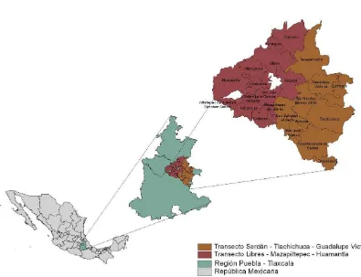 Figura 1.  Área de colecta de maíces nativos en la región de Libres-Serdán, Puebla. 