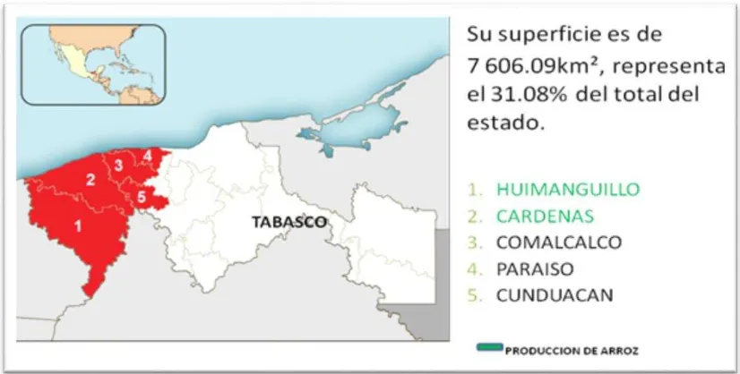 Figura 6.Municipios de la región Chontalpa. Fuente: Elaboración propia.  