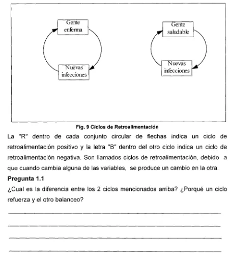 Fig. 9 Ciclos de Retroalimentación