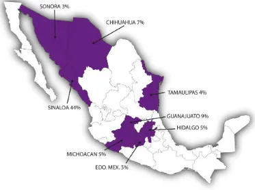 Figura 34. Ubicación geográfica de los principales estados productores de maíz de riego en 
