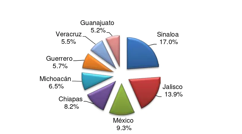 Figura 31. Principales estados productores de maíz en México 1996-2009 