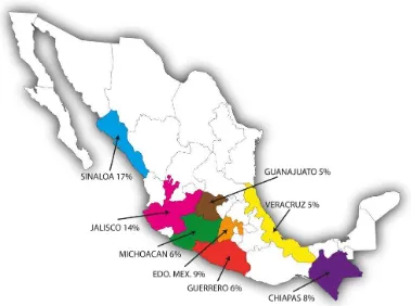 Figura 32. Ubicación geográfica de los principales estados productores de maíz en México 