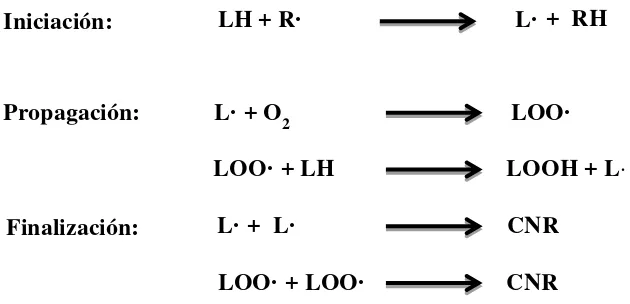 Figura 1. Reacciones producidas por la oxidación de lípidos. Fuente: Buettner, 1993. 