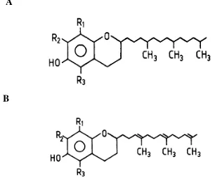Figura β. A. Estructura del α-tocoferol B. Estructura de α-tocotrienol. Fuente: Bjorneboe, 1990.