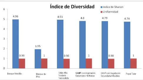 Figura 10. Índice de diversidad de las diferentes vegetaciones en Nahá  