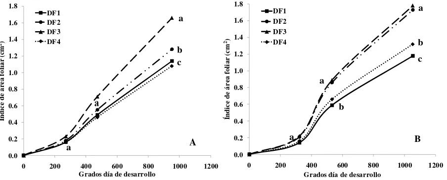 Figura 1. Índice de área foliar durante el desarrollo de dos variedades de gladiolo A) 