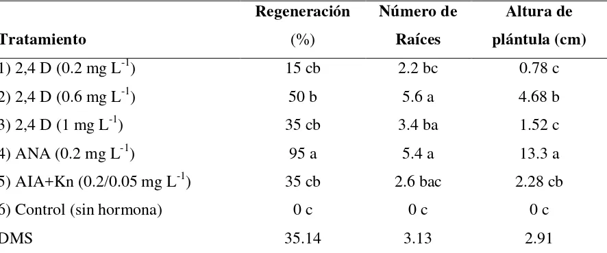 Cuadro 1. Efecto de auxinas y citocininas en la regeneración de plántulas de gladiolo