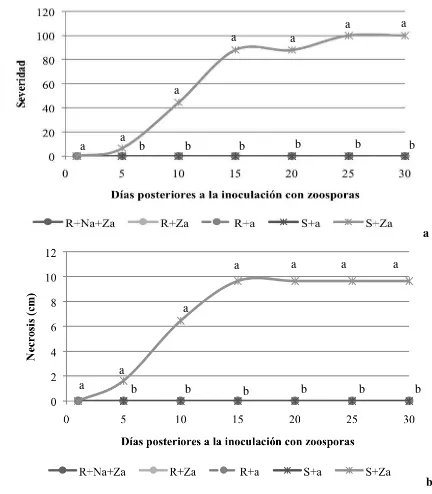 Fig. 7. Porcentaje de severidad (a) y necrosis (b) en plantas completas e inoculadas con zoosporas asperjadas (Za) al follaje en presencia y ausencia de N
