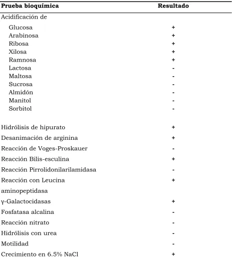 Cuadro 2. Características fenotípicas de Pediococcus acidilactici. 
