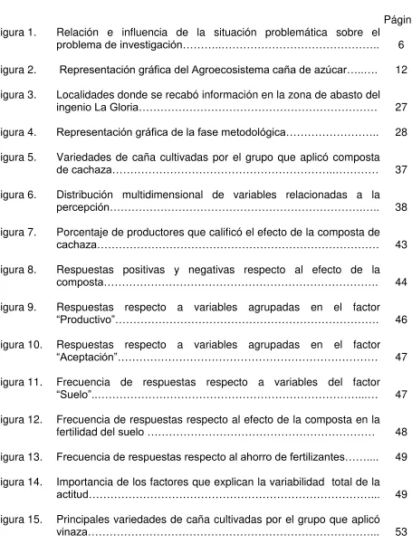 Figura 1. 