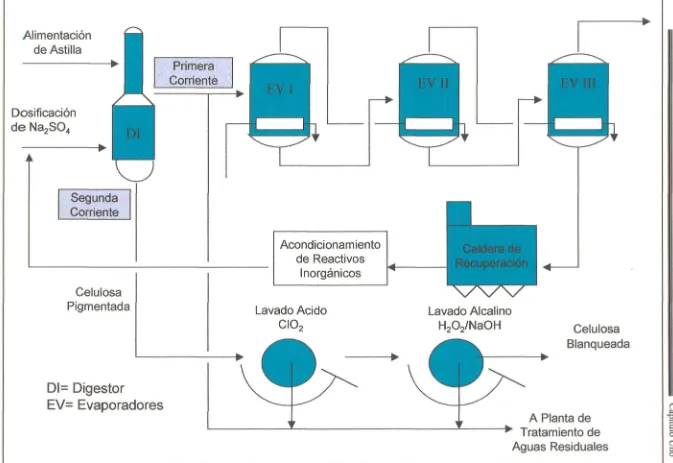 Fig. 1.1 Diagrama de Flujo de Producción de Celulosa