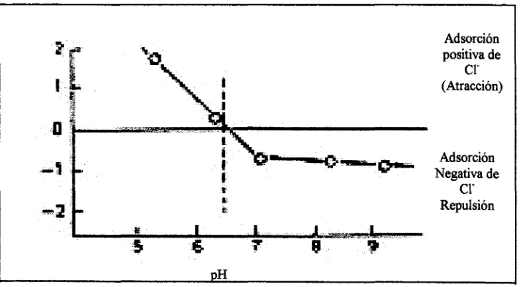 Fig. 3.5 Cargas parciales en las arcillas Caolínfticas