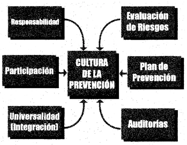 Figura 4.7. Cultura de la prevención (Fuente: Sumario de la Campaña de Prevención,España. http://www. acmat. org/campanya/OOsumarí.  htm).