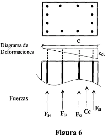 Figura 6