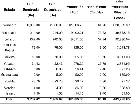 Cuadro1.  Estados productores de chayote en México. 