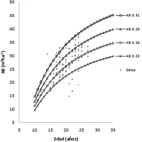 Figura 6. Curvas de crecimiento en área basal para diferentes índices de sitio 